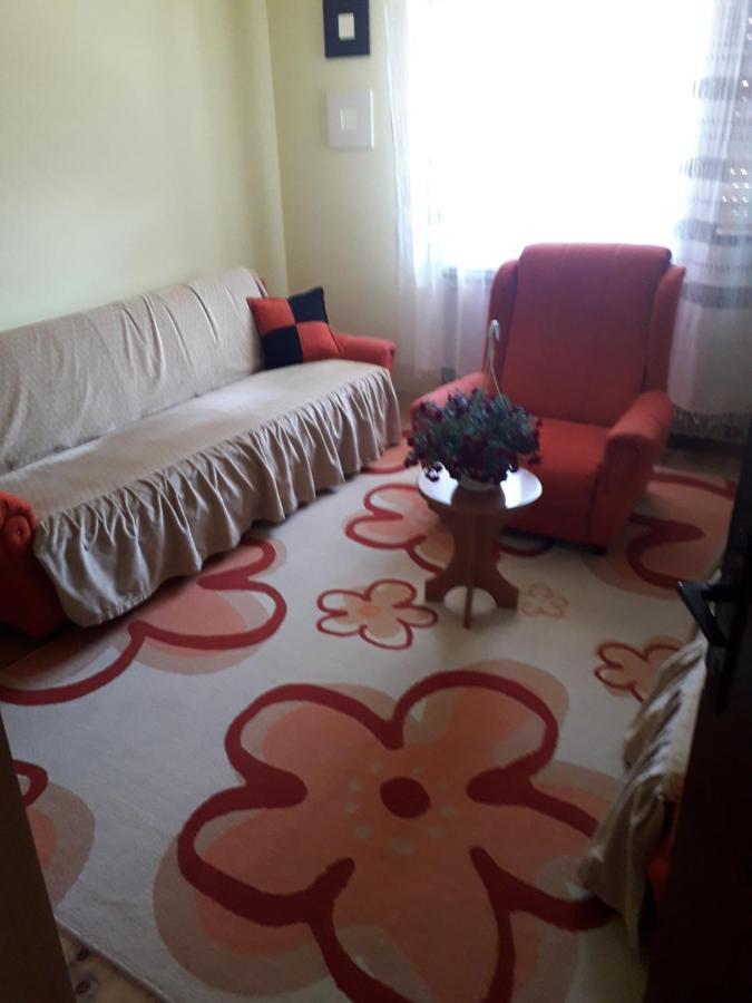 Rakic Apartman Bajina Basta Exterior foto